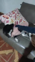 Frida