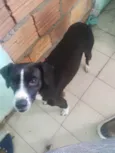 Pequininha