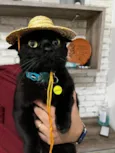 Hórus