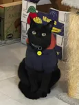 Hórus