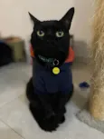 Hórus