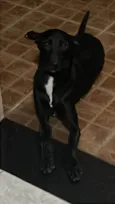 Zeca