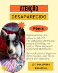 Fenix