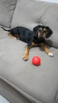 Marley