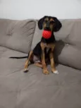 Marley