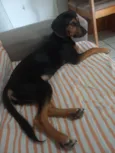 Marley