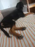 Marley