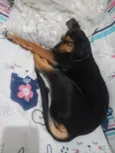 Marley