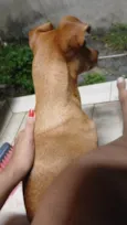 Tom