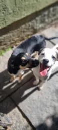 Lua e Sol