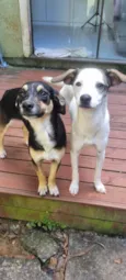 Lua e Sol