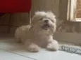Billy