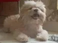 Billy