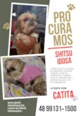 Catita