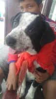 Zeus
