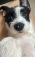 Lua