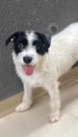 Lua