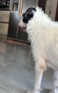 Lua