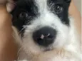 Lua