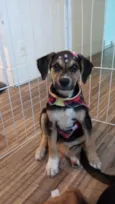 Zoe
