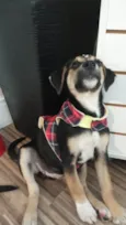 Zoe