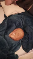 Simba