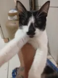 Doação responsável 