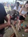 Esperança