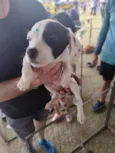 Esperança