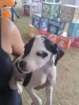 Esperança