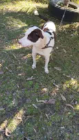 Ernesto