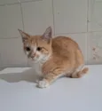 Robert