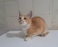 Robert