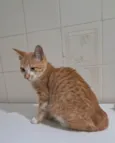 Robert