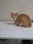 Robert