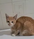 Robert