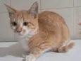 Robert