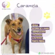Caramela.