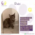 Rubi
