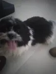 Não sei