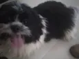 Não sei