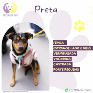 Cachorro raça SRD-ViraLata idade 1 ano nome Preta