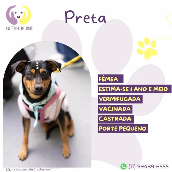 Cachorro ra a SRD-ViraLata idade 1 ano nome Preta