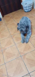 Beethoven 