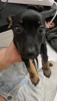 Kiara