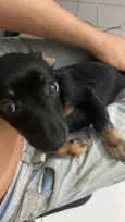 Kiara