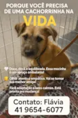 Estopinha