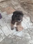 Bob