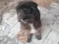 Bob