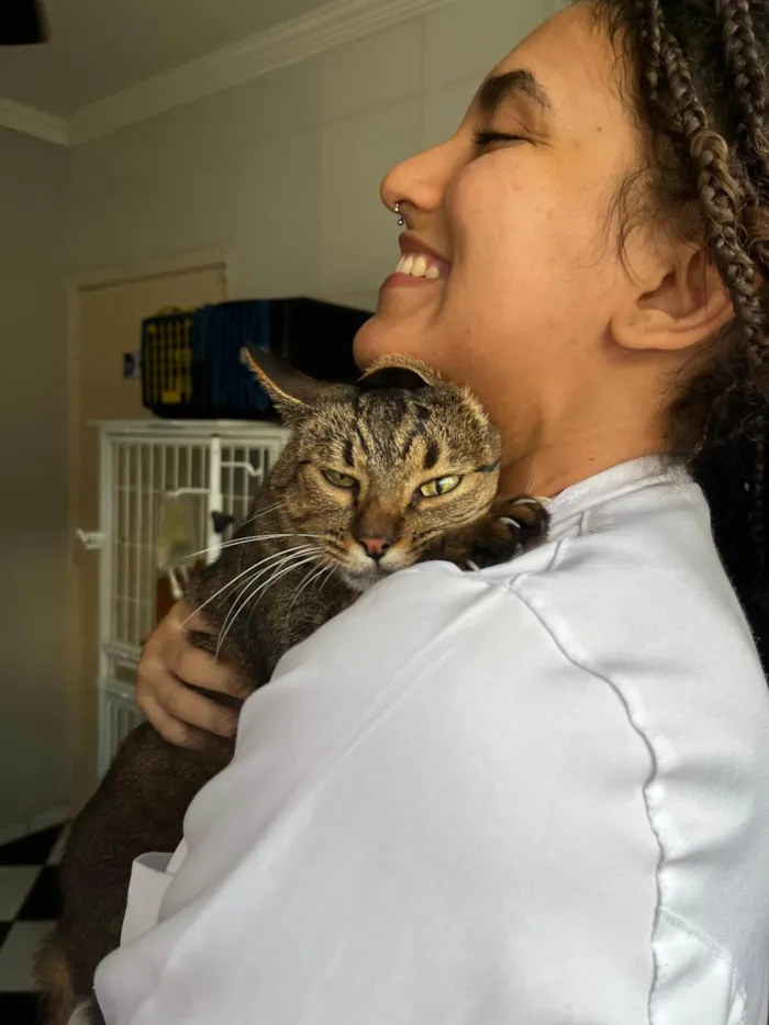 Gato ra a SRD-ViraLata idade 2 anos nome Flor de Liz 